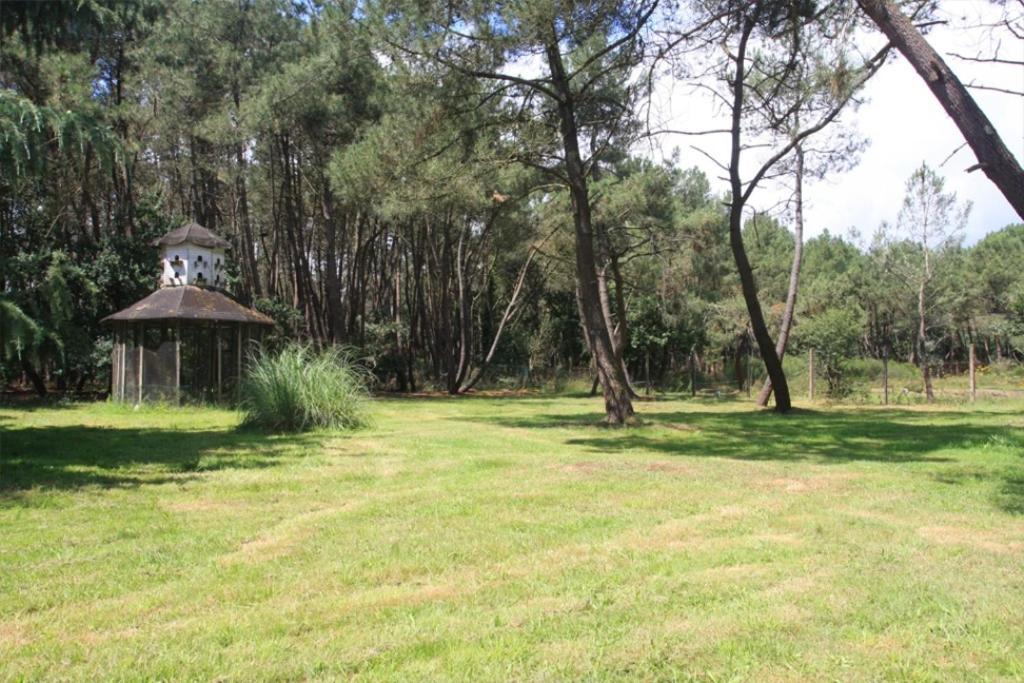 Le Clos Du Chene Langon  Dış mekan fotoğraf